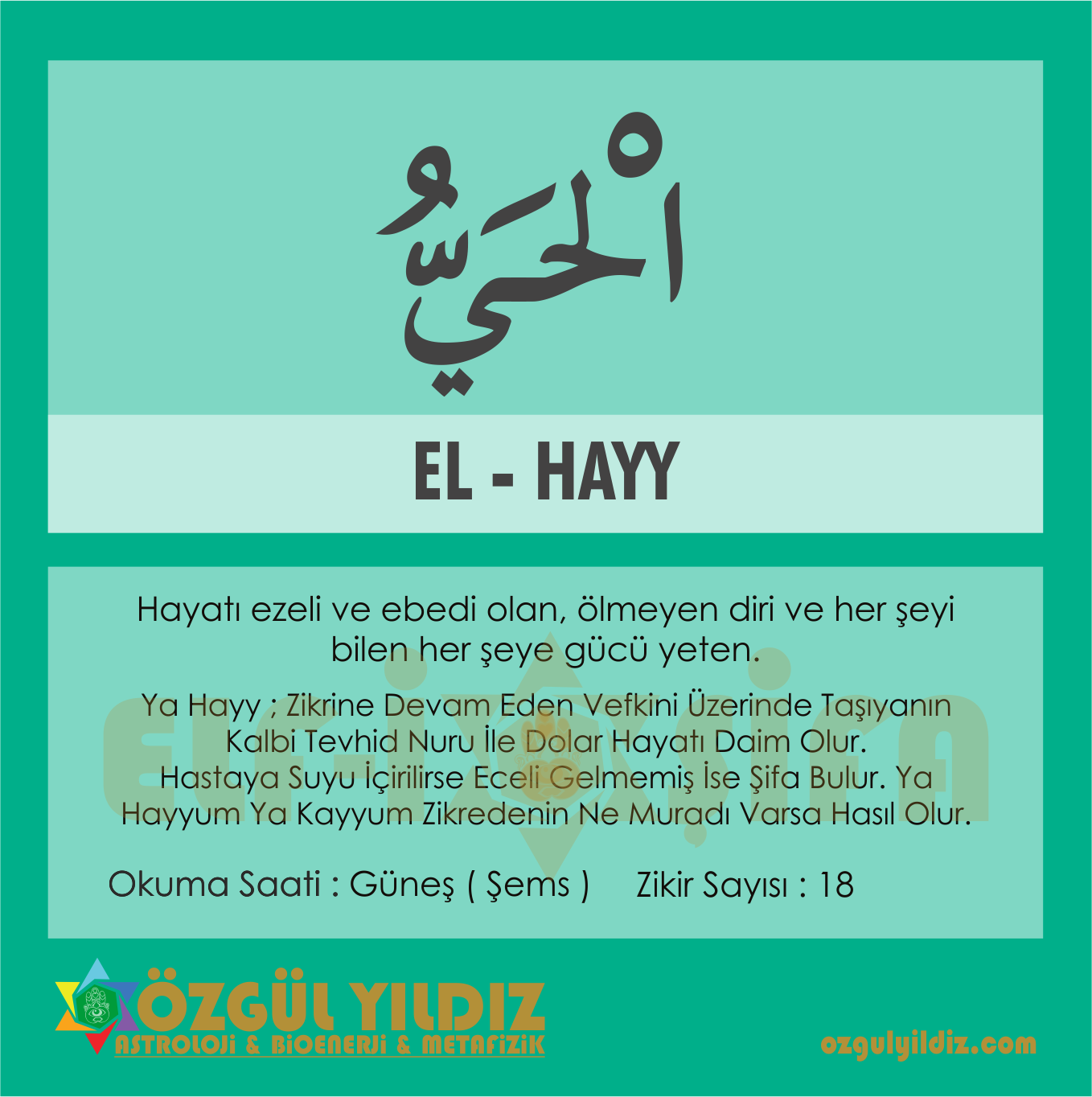 El Hayy Esma Havas zg l Y ld z