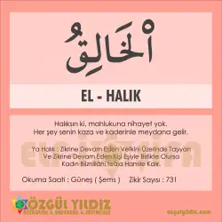 Sirket.